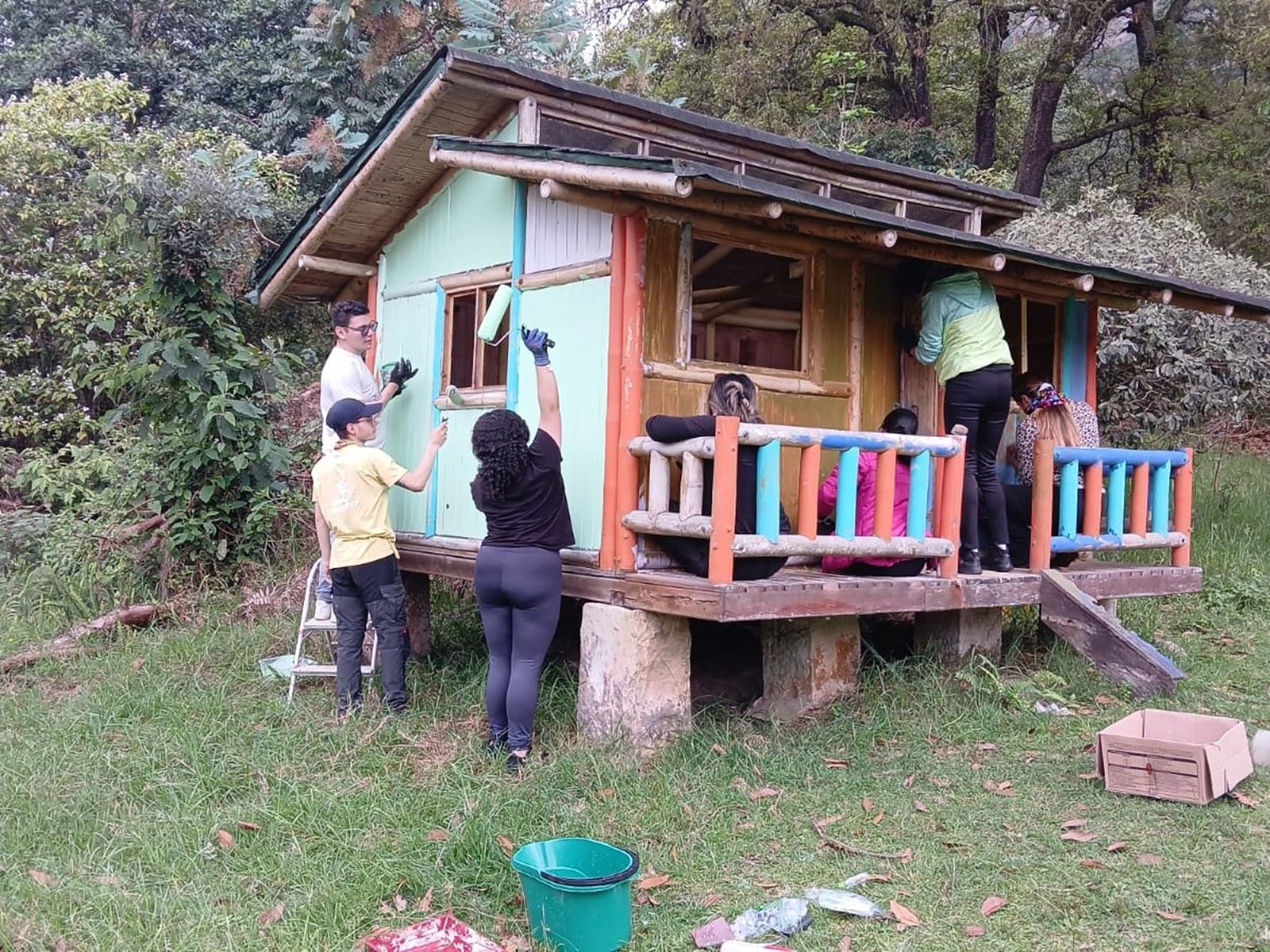 Voluntarios (3)